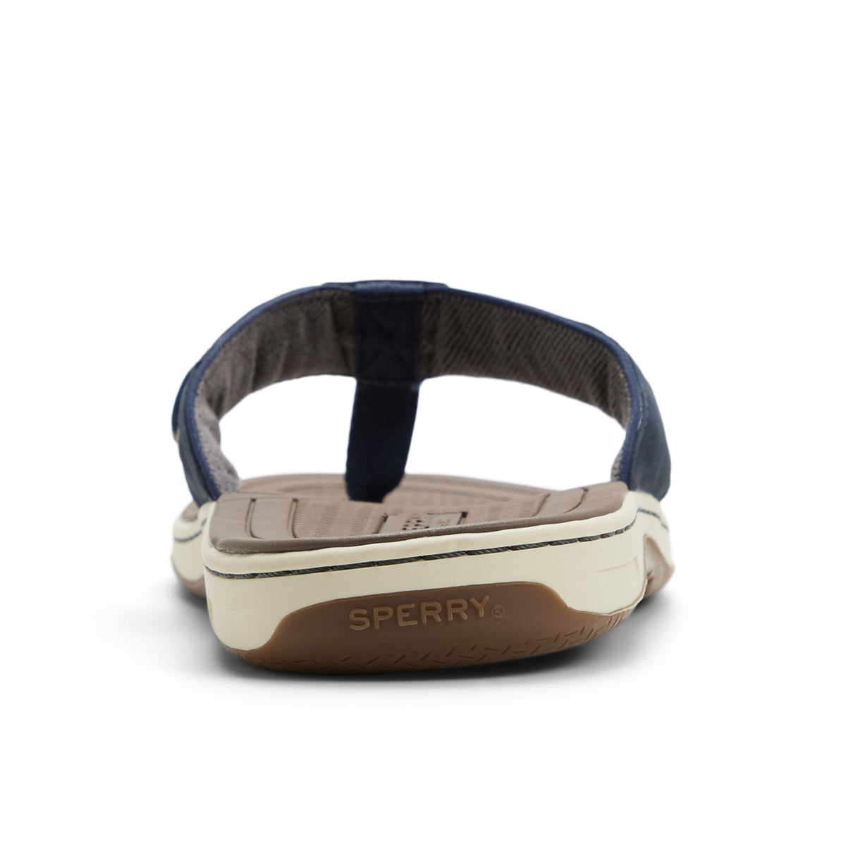 Baitfish Thong Sandal image 4