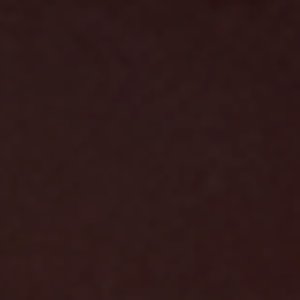 Rain & Stain Shoe Care image 2