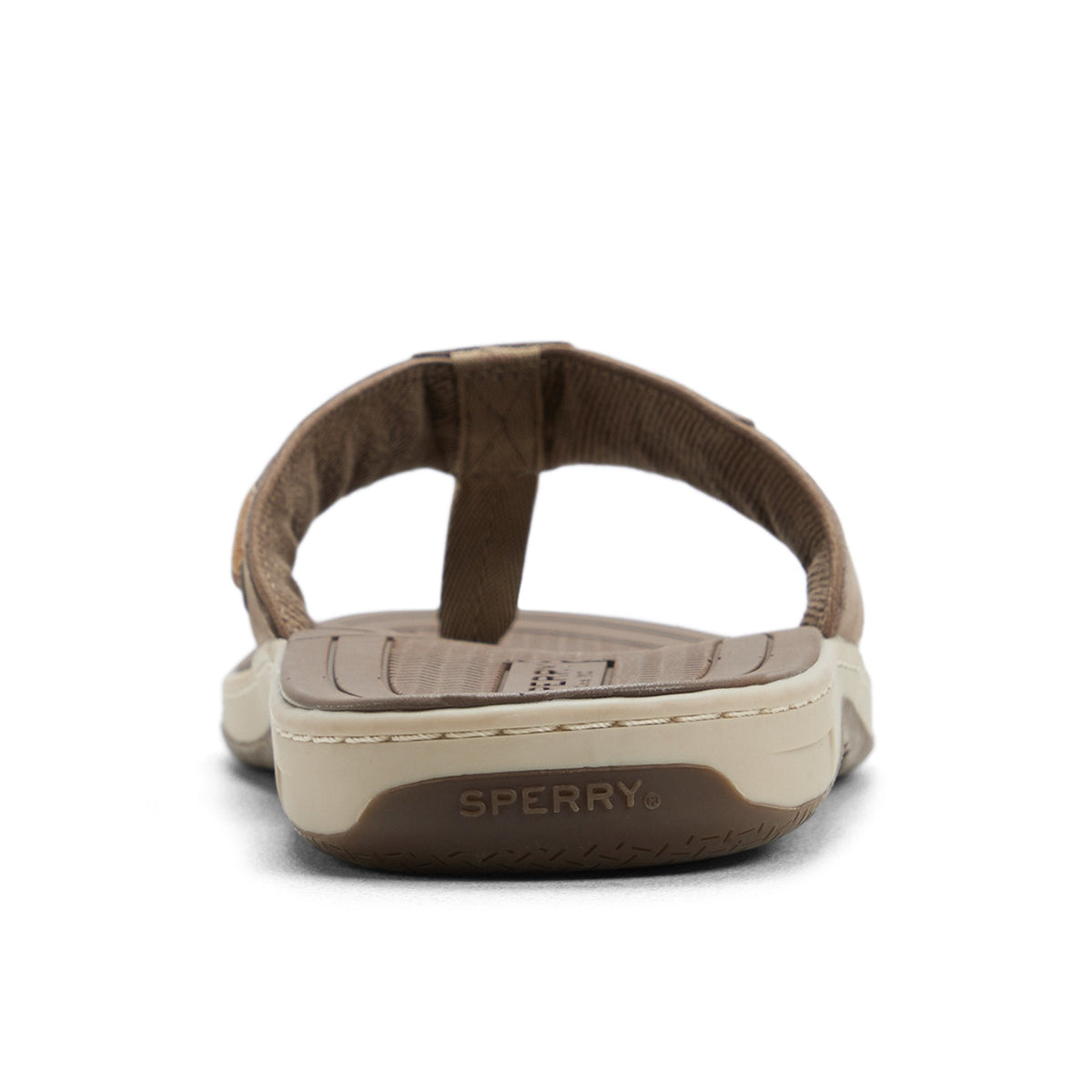 Baitfish Thong Sandal image 4
