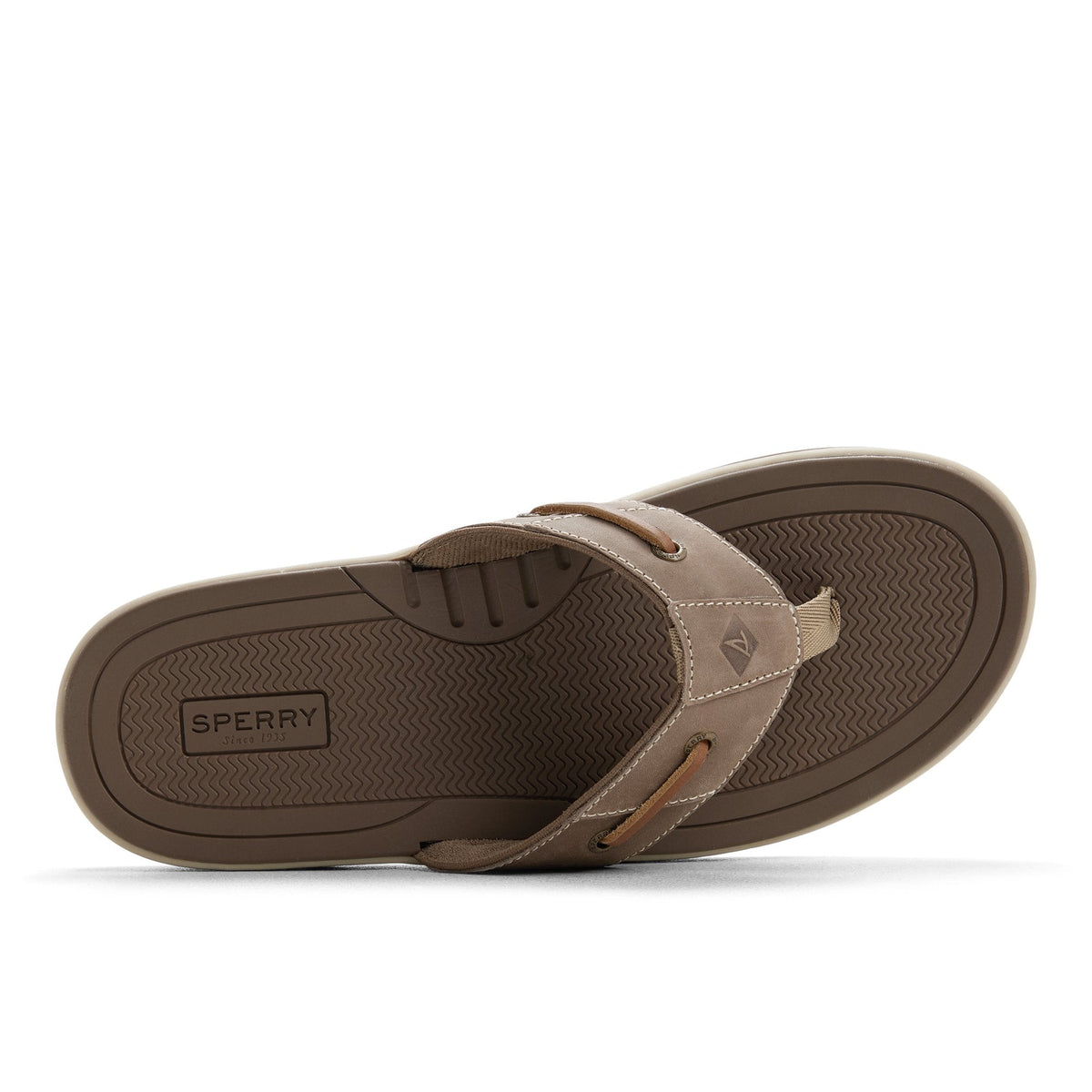Baitfish Thong Sandal image 6